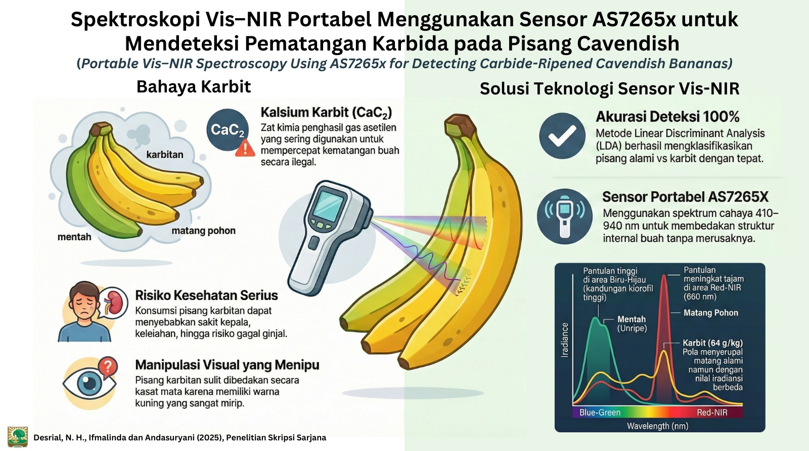 Kajian Teknologi Spektroskopi VIS-NIR  untuk Deteksi Buah Pisang Cavendish (Musa acuminata Cavendish) yang Dimatangkan dengan Kalsium Karbida (CaC2)